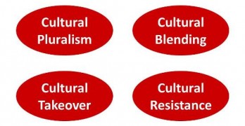 Types of cultural integration in a merger