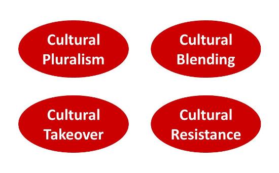 Types of cultural integration in a merger